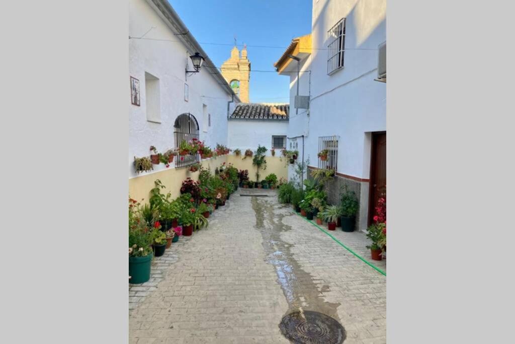 Villa Casa Tipica De Pueblo Andaluz Villanueva de San Juan Exterior foto